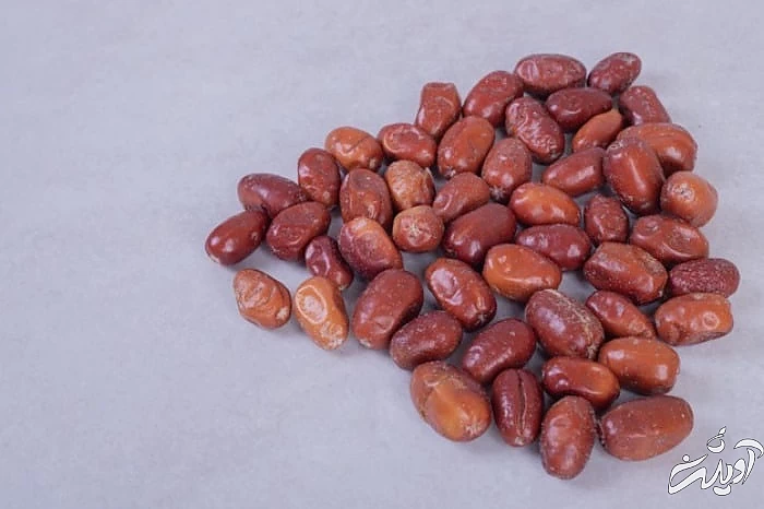 تهیه پودر سنجد شیر و پودر سنجد